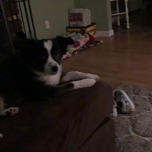 Meet your Posher, Michelle